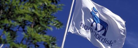 Novo Nordisk flag Novo Nordisk flag